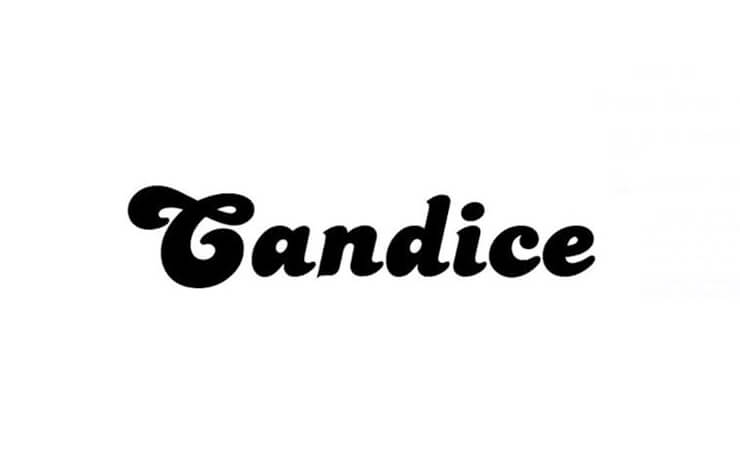 Candice Font Family Free Download