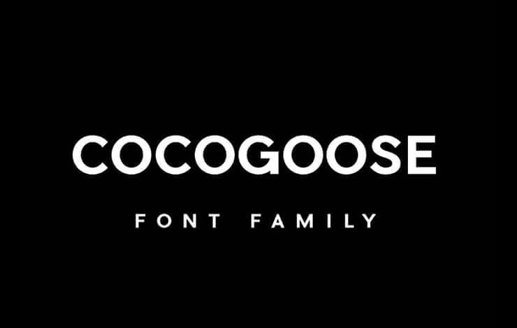 Cocogoose Font Family Free Download