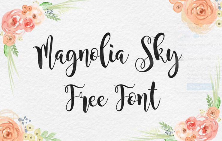 Magnolia Sky Font Family Free Download