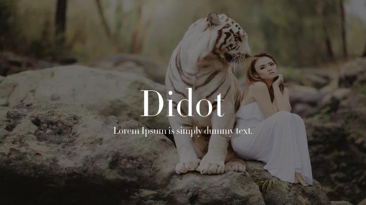 didot font