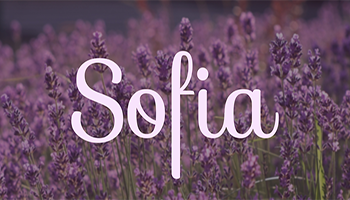 sofia font