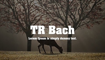 tr bach font