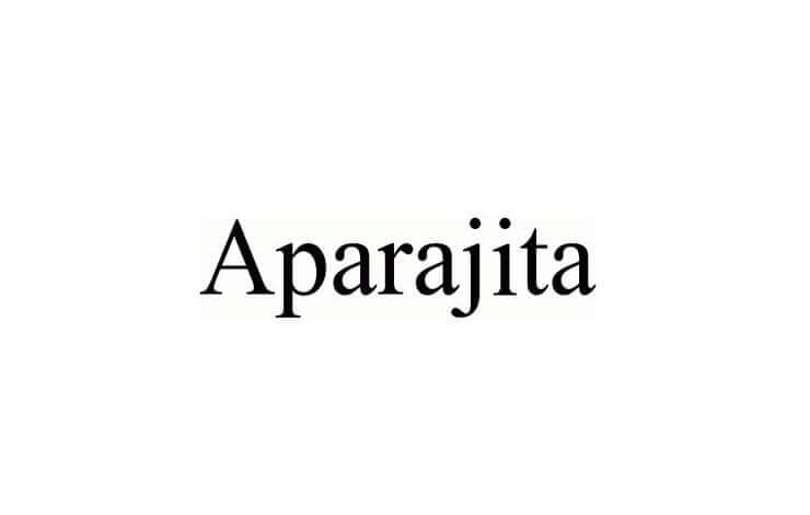 Aparajita Font Family Free Download