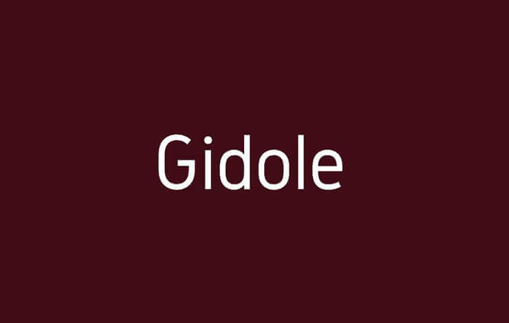 Gidole Font Family Free Download