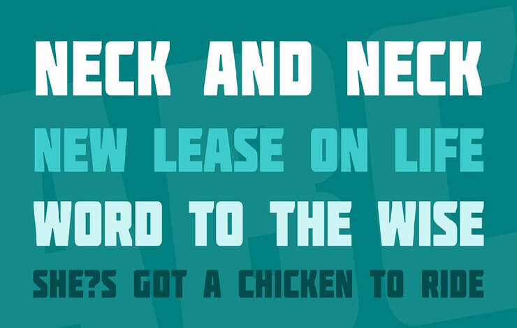 Molot Font Family Download
