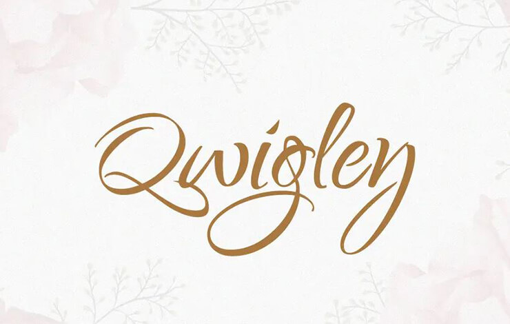 Qwigley Font Family Free Download
