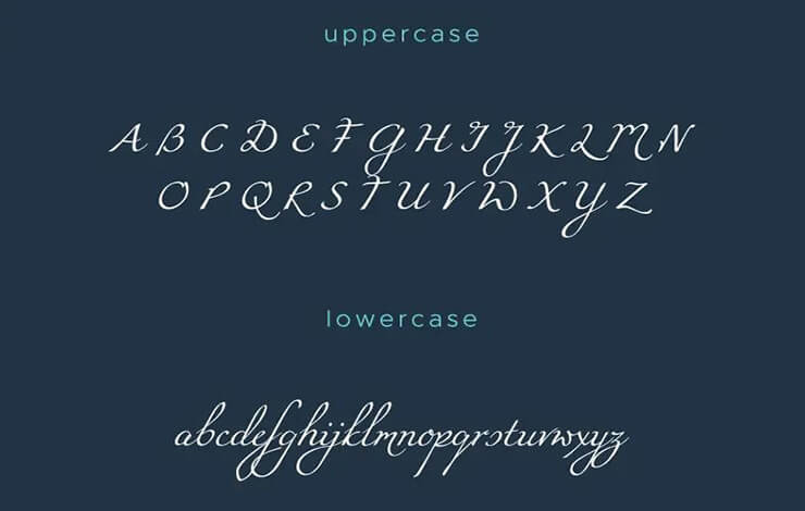 Miama Font Family Download