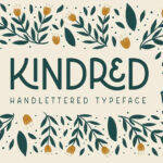 Kindred Font Family Free Download