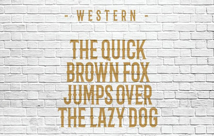 Barbaro Font Family Download