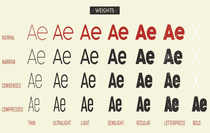 Cocogoose Font Family Download