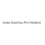 Iwata Souchou Pro Medium Font Family Free Download
