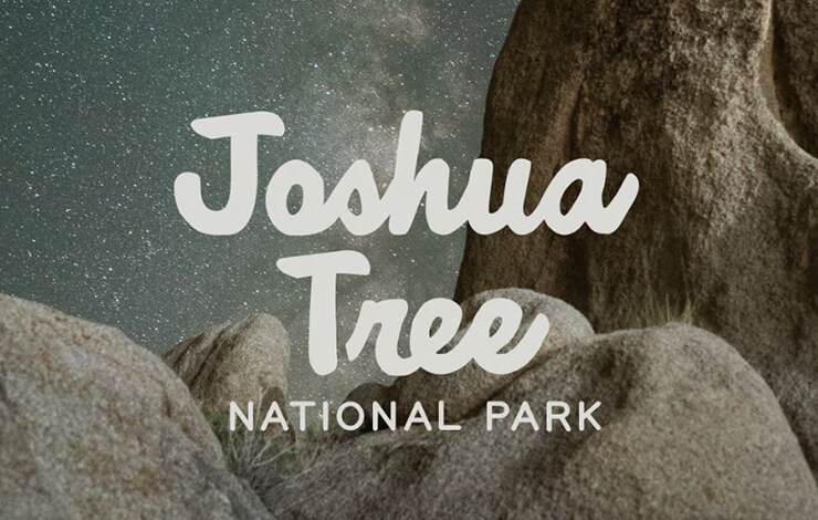 National Forest Font Family Free Download