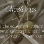 Olive and Figs Font Family Free Download