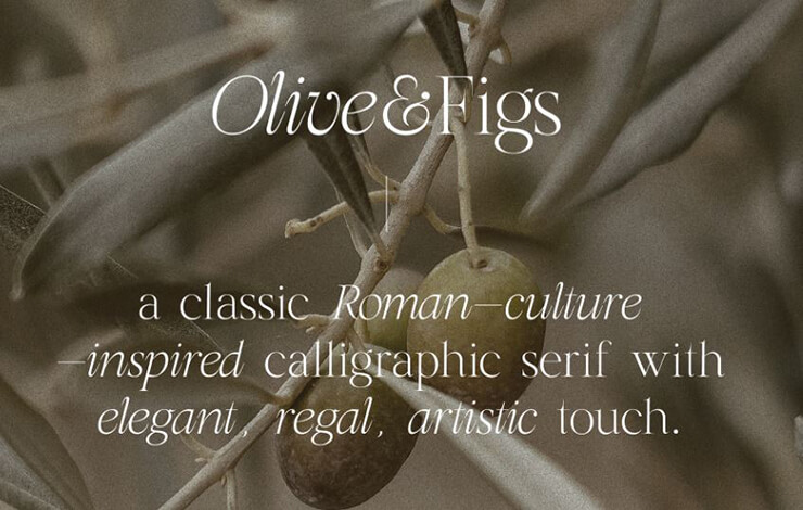 Olive and Figs Font Family Free Download