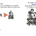 Real Caps Two Font Family Free Download