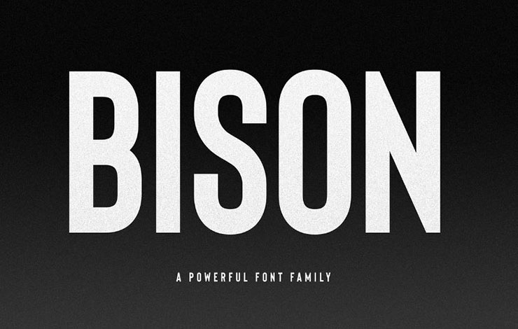 Bison Font Family Free Download