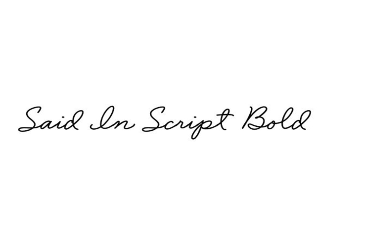 Said in Script Bold Font Family Free Download