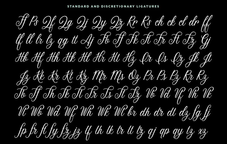 Stoic Font Family Download