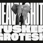 Tusker Grotesk Font Family Free Download