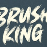 Brush King Font Family Free Download