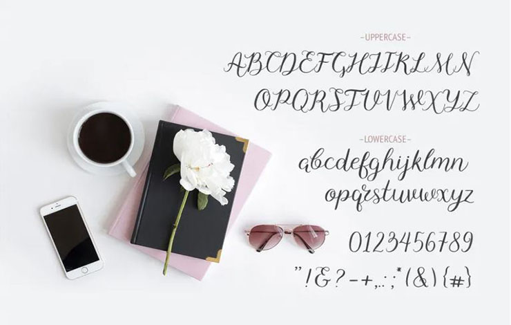 Dreamer Script Font Family Download