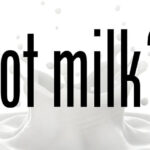 Got Milk Font Family Free Download