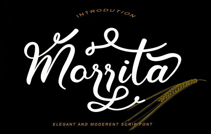 Morrita Font Family Free Download